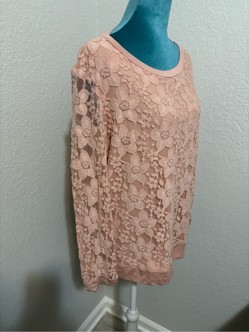 Adrianna Papell Blush Lace Floral Long Sleeve Top
